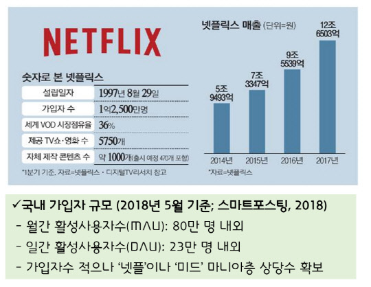 넷플릭스 사업자 개요. 한국미디어경영학회 제공